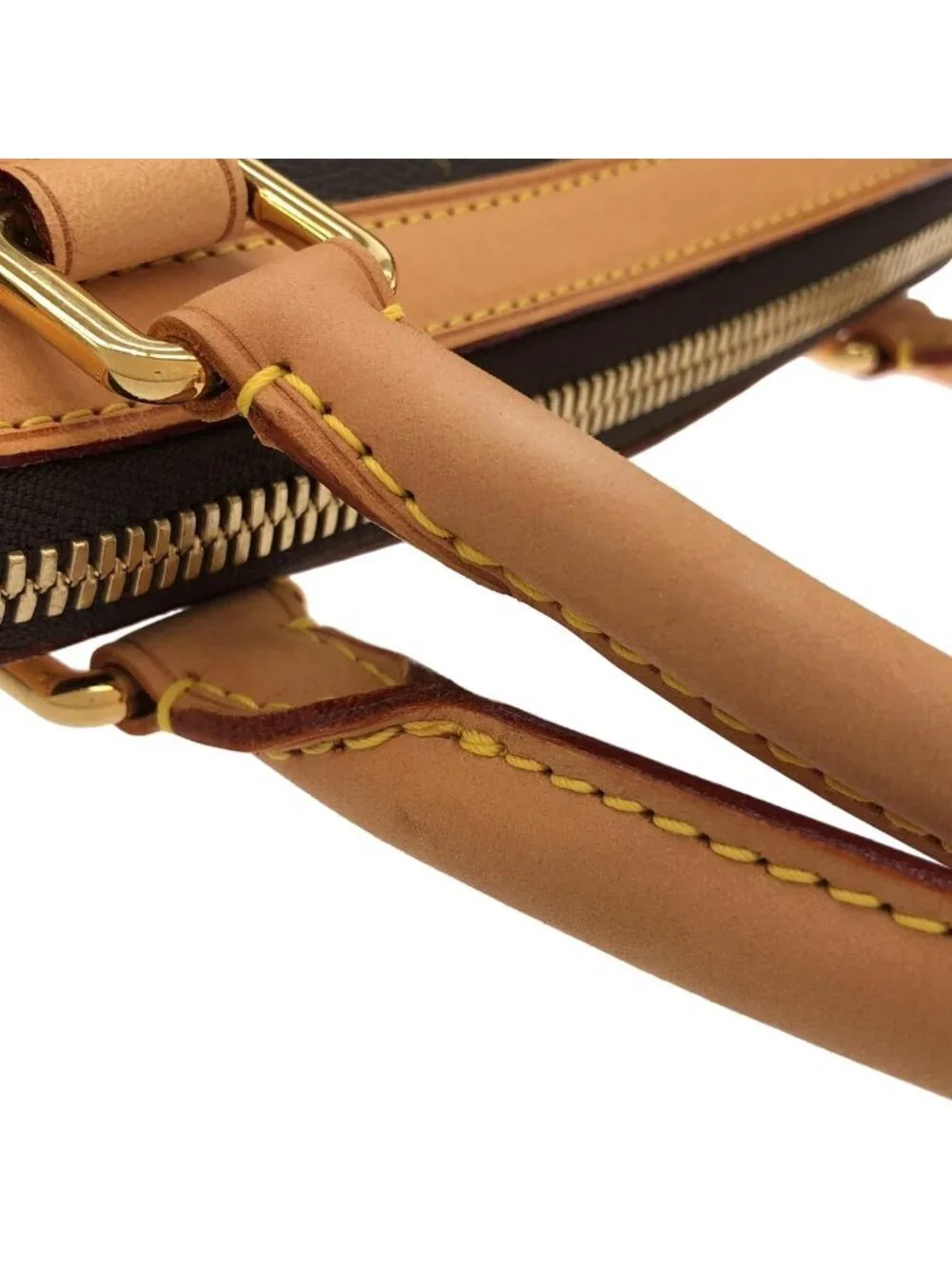 Louis Vuitton Monogram Trevi PM Bag